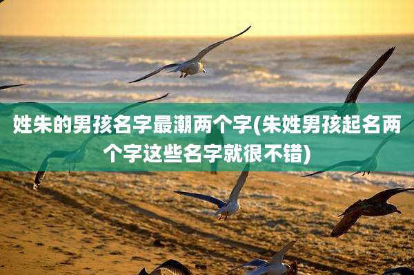 姓朱的男孩名字最潮两个字(朱姓男孩起名两个字这些名字就很不错)