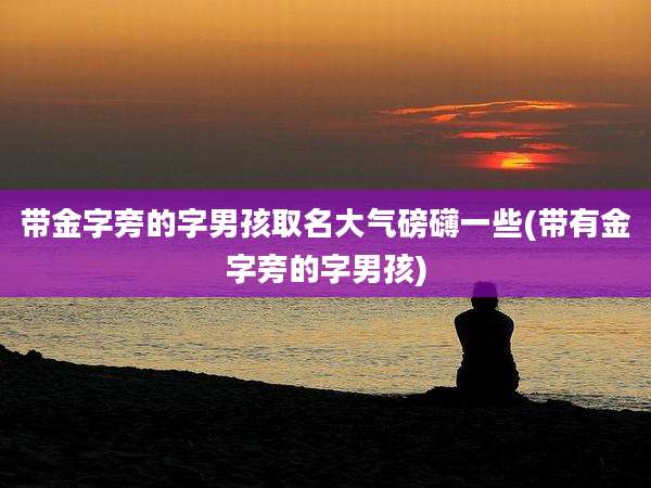 带金字旁的字男孩取名大气磅礴一些(带有金字旁的字男孩)