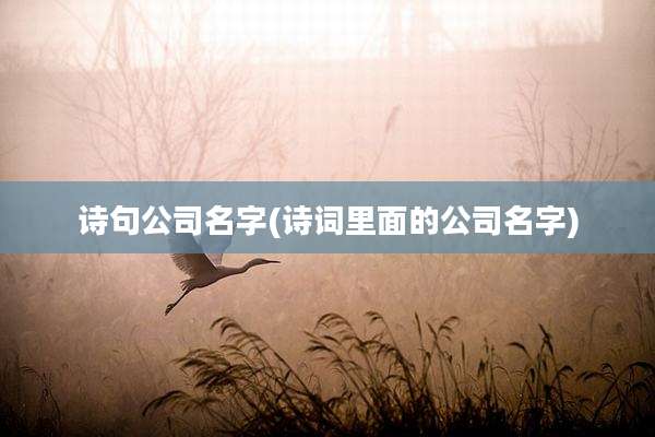 诗句公司名字(诗词里面的公司名字)
