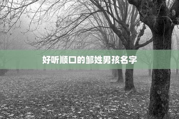 好听顺口的邹姓男孩名字