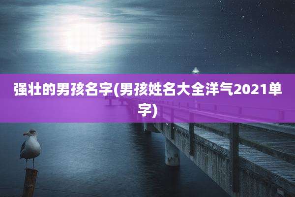 强壮的男孩名字(男孩姓名大全洋气2021单字)