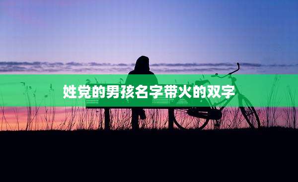 姓党的男孩名字带火的双字