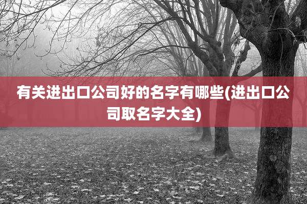 有关进出口公司好的名字有哪些(进出口公司取名字大全)