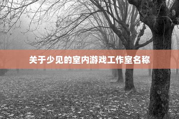 关于少见的室内游戏工作室名称