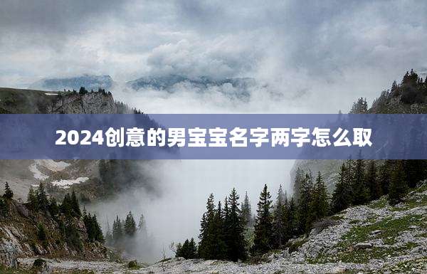2024创意的男宝宝名字两字怎么取