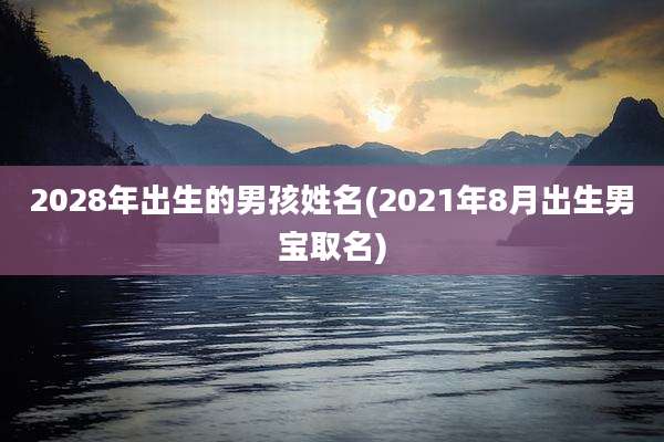 2028年出生的男孩姓名(2021年8月出生男宝取名)
