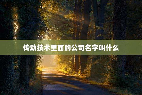 传动技术里面的公司名字叫什么