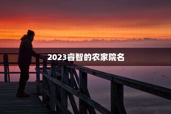 2023睿智的农家院名