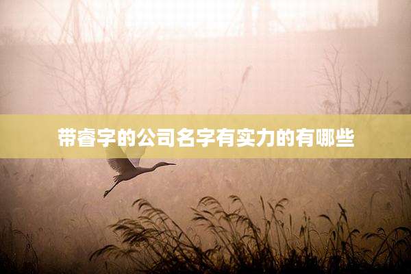 带睿字的公司名字有实力的有哪些