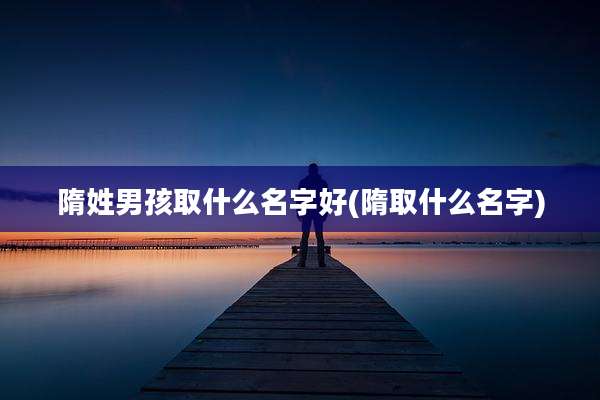 隋姓男孩取什么名字好(隋取什么名字)