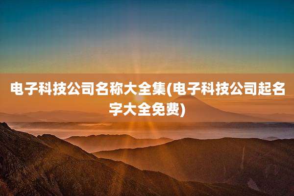 电子科技公司名称大全集(电子科技公司起名字大全免费)