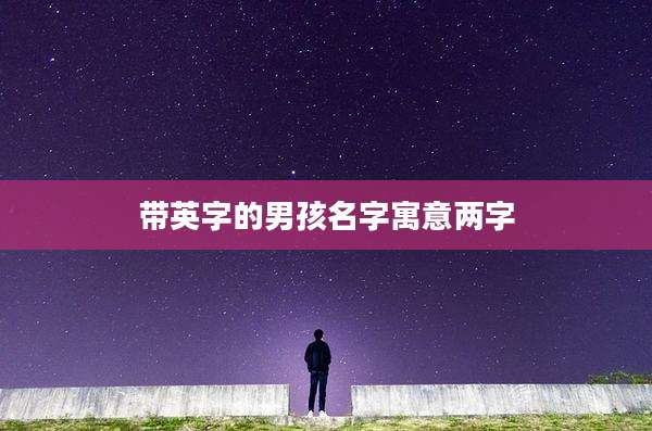 带英字的男孩名字寓意两字