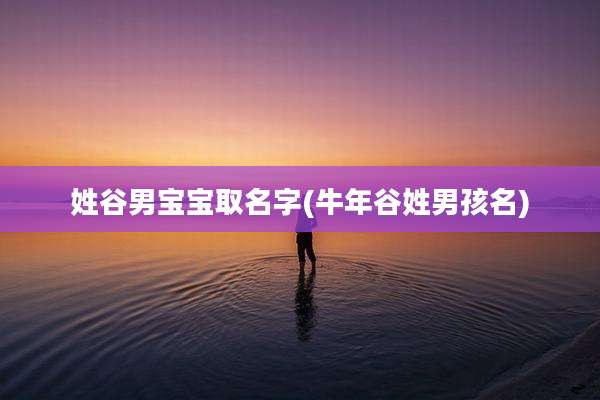 姓谷男宝宝取名字(牛年谷姓男孩名)