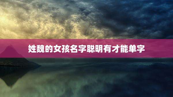 姓魏的女孩名字聪明有才能单字