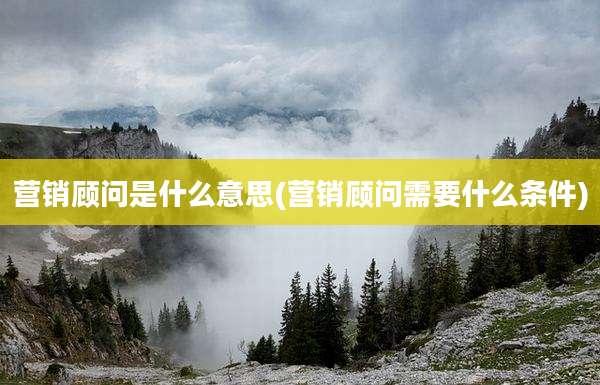 营销顾问是什么意思(营销顾问需要什么条件)