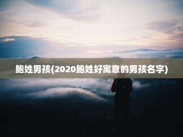 鲍姓男孩(2020鲍姓好寓意的男孩名字)