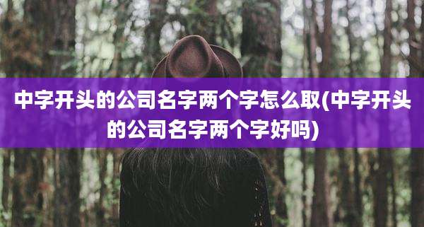 中字开头的公司名字两个字怎么取(中字开头的公司名字两个字好吗)