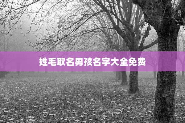 姓毛取名男孩名字大全免费