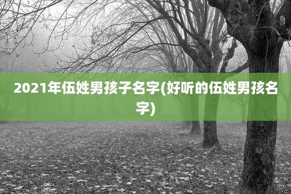 2021年伍姓男孩子名字(好听的伍姓男孩名字)