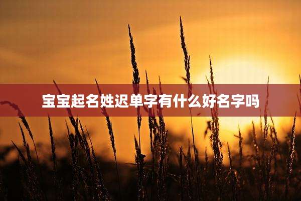 宝宝起名姓迟单字有什么好名字吗