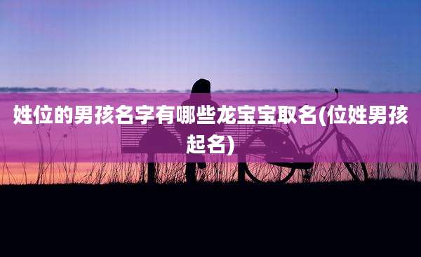 姓位的男孩名字有哪些龙宝宝取名(位姓男孩起名)