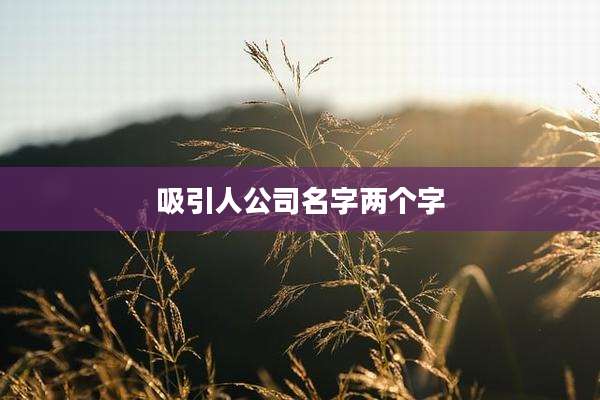 吸引人公司名字两个字