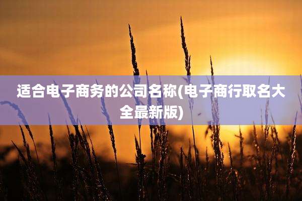 适合电子商务的公司名称(电子商行取名大全最新版)