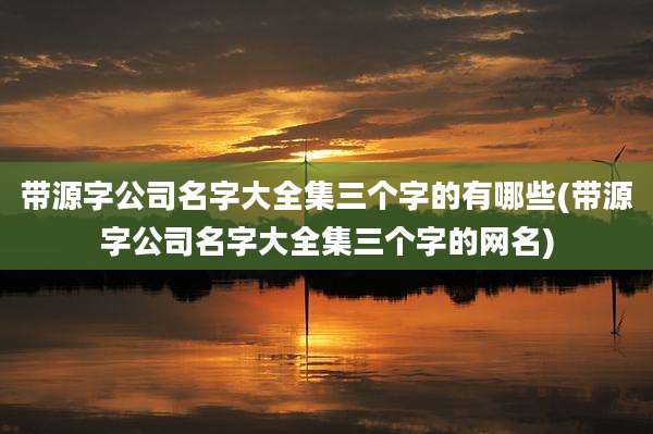 带源字公司名字大全集三个字的有哪些(带源字公司名字大全集三个字的网名)
