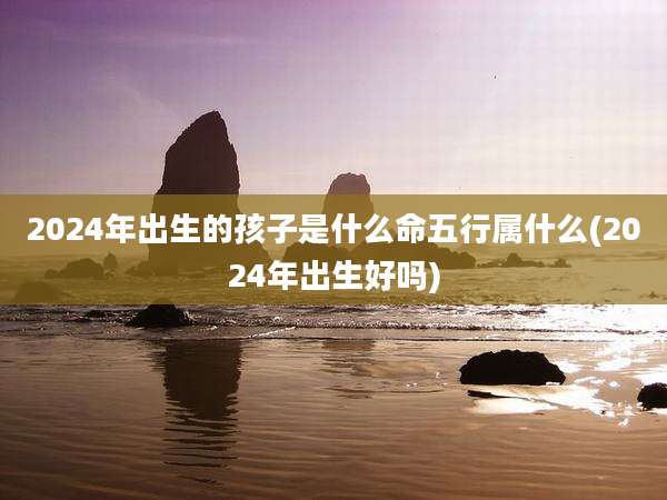 2024年出生的孩子是什么命五行属什么(2024年出生好吗)