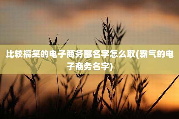 比较搞笑的电子商务部名字怎么取(霸气的电子商务名字)