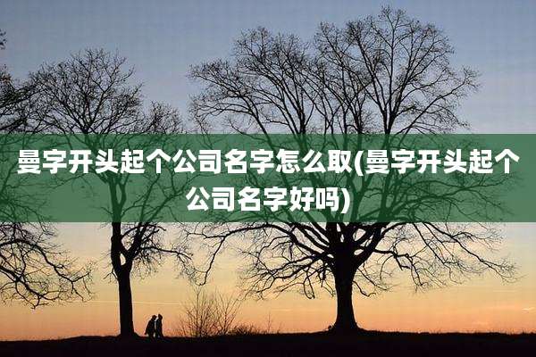曼字开头起个公司名字怎么取(曼字开头起个公司名字好吗)