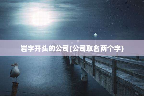 岩字开头的公司(公司取名两个字)