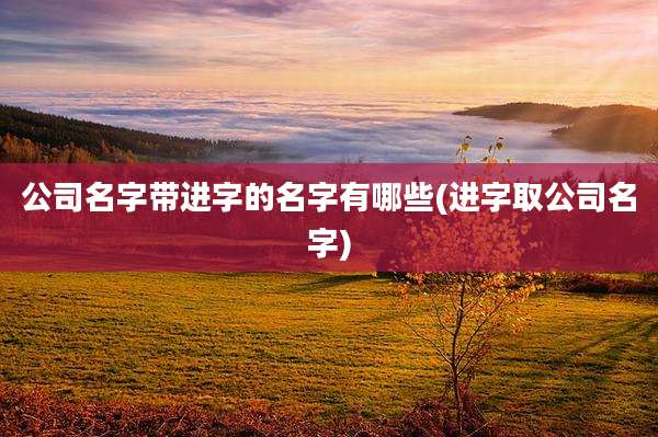 公司名字带进字的名字有哪些(进字取公司名字)