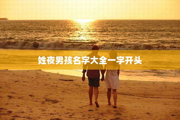 姓夜男孩名字大全一字开头