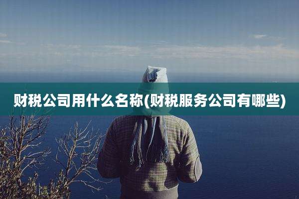 财税公司用什么名称(财税服务公司有哪些)