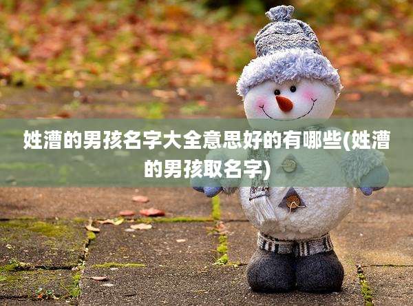 姓漕的男孩名字大全意思好的有哪些(姓漕的男孩取名字)