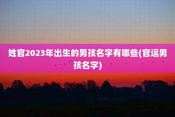 姓官2023年出生的男孩名字有哪些(官运男孩名字)