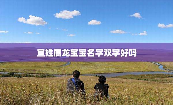 宣姓属龙宝宝名字双字好吗
