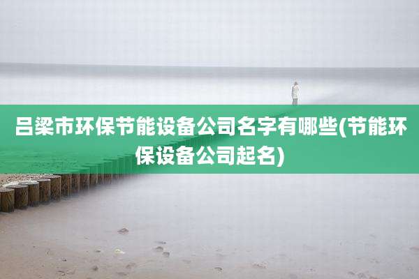 吕梁市环保节能设备公司名字有哪些(节能环保设备公司起名)