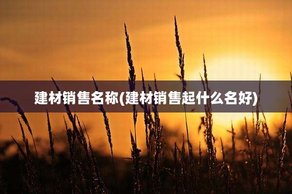 建材销售名称(建材销售起什么名好)