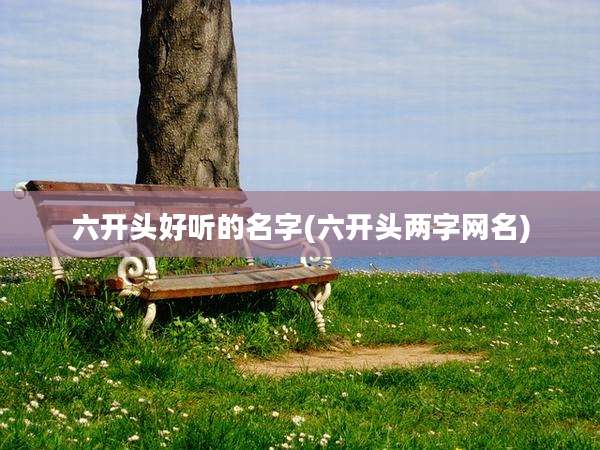 六开头好听的名字(六开头两字网名)