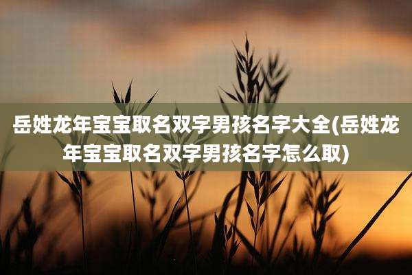 岳姓龙年宝宝取名双字男孩名字大全(岳姓龙年宝宝取名双字男孩名字怎么取)