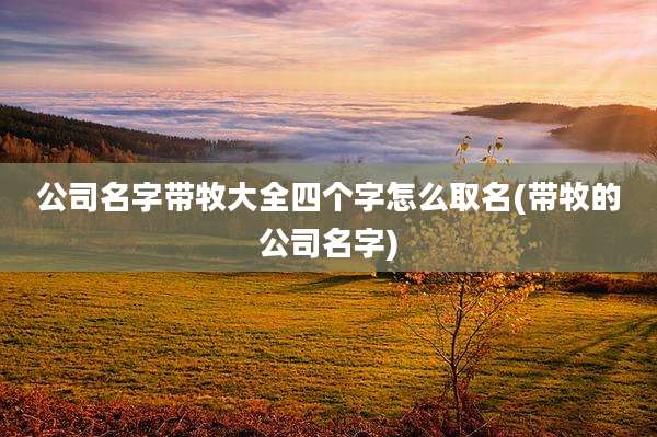 公司名字带牧大全四个字怎么取名(带牧的公司名字)