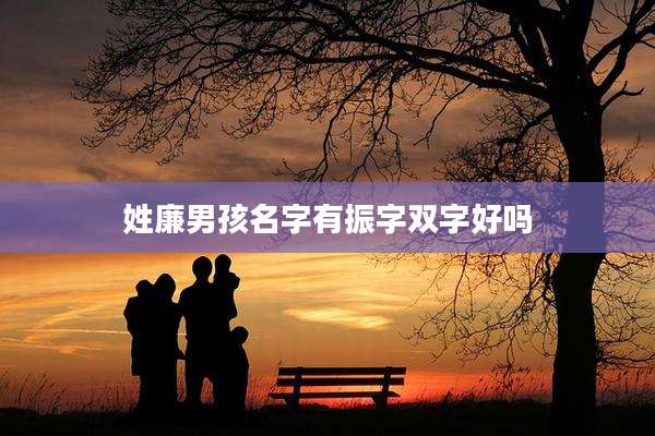 姓廉男孩名字有振字双字好吗