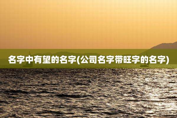 名字中有望的名字(公司名字带旺字的名字)