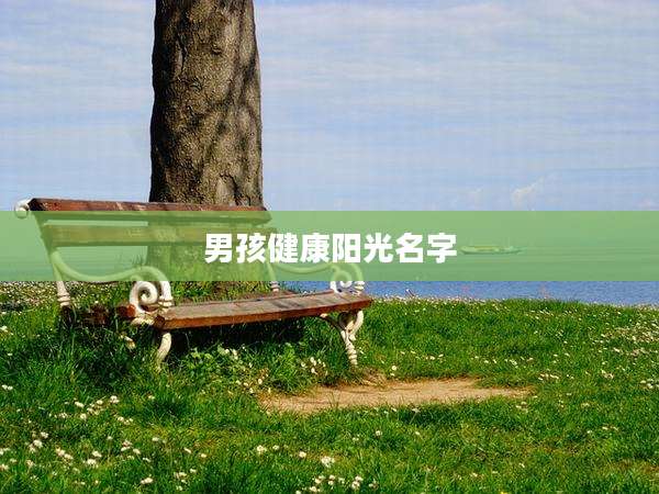 男孩健康阳光名字