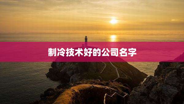 制冷技术好的公司名字
