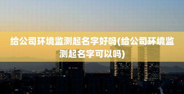 给公司环境监测起名字好吗(给公司环境监测起名字可以吗)