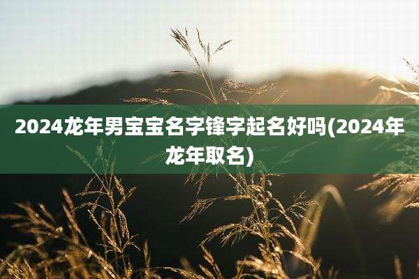 2024龙年男宝宝名字锋字起名好吗(2024年龙年取名)