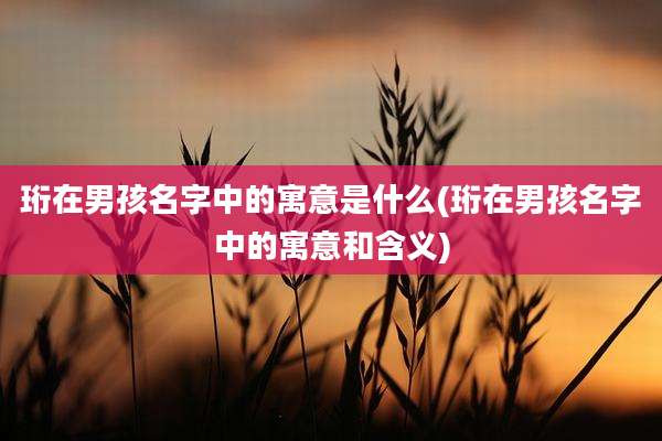 珩在男孩名字中的寓意是什么(珩在男孩名字中的寓意和含义)